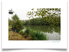 Photo n°073 - Demie finale Sensas Est - 2012